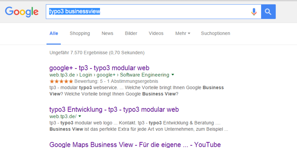 typo3_businessview.PNG